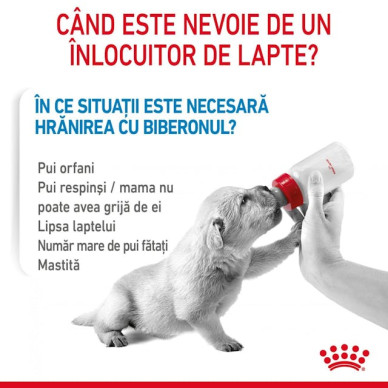 Royal Canin Babydog Milk – Înlocuitor de Lapte Matern pentru Căței – 400 g